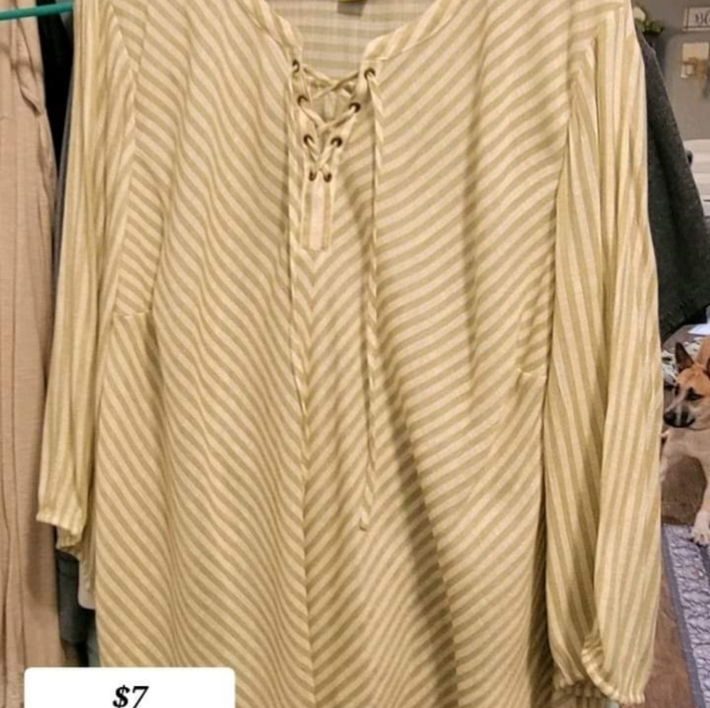 Plus Size Shirt/Top